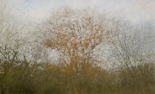 Cargar imagen en el visor de la galería, Las edades del viento - Jorge Martin - Serie de fotografías.