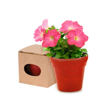 Cargar imagen en el visor de la galería, Maceta biodegradable con semillas de Petunia