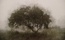 Cargar imagen en el visor de la galería, Las edades del viento - Jorge Martin - Serie de fotografías.

