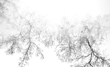 Cargar imagen en el visor de la galería, Las edades del viento - Jorge Martin - Serie de fotografías.
