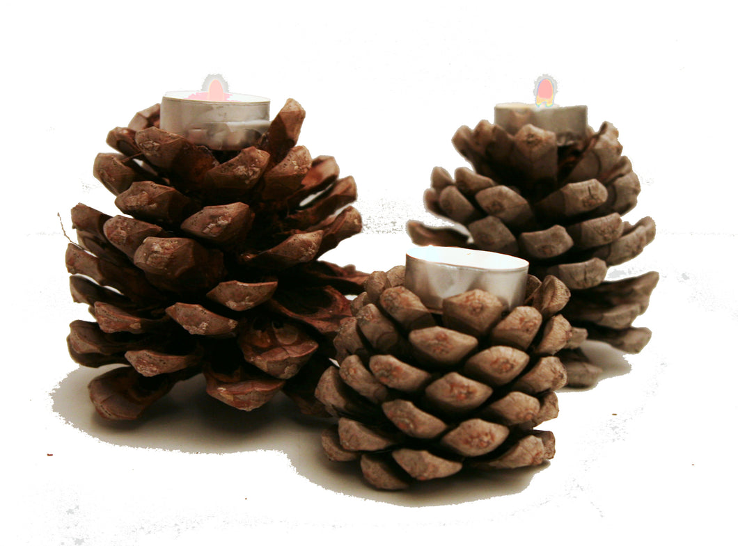 Candelero de piña natural