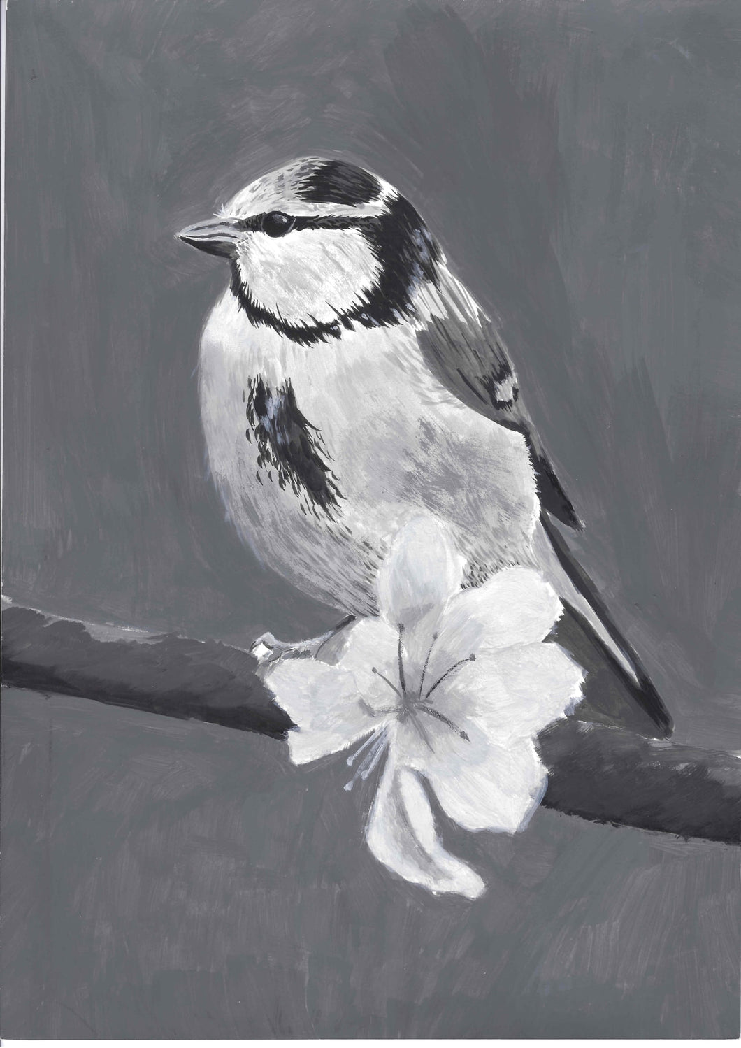 CUADRO PAJARO VIII