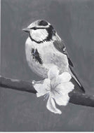 CUADRO PAJARO VIII
